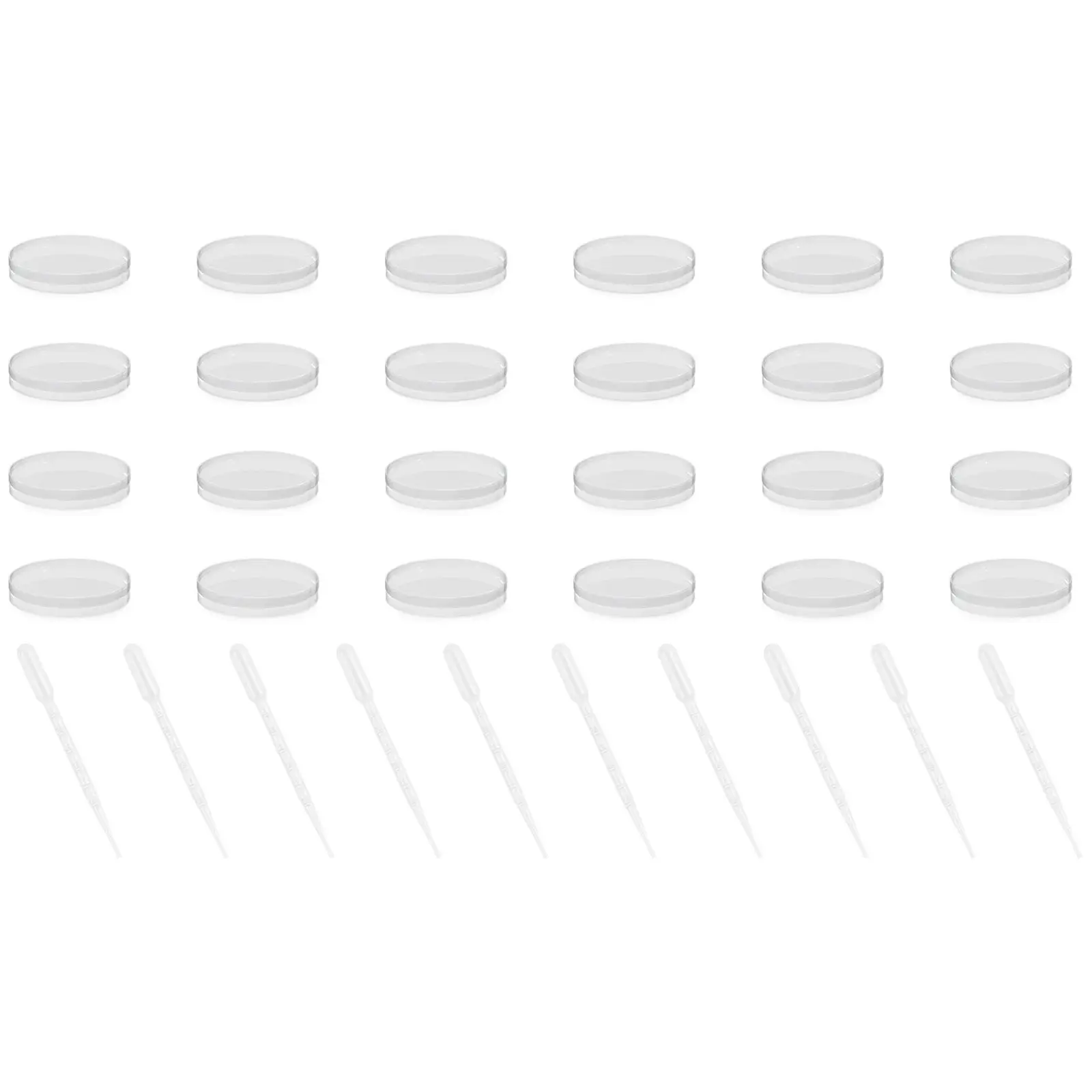 24 Petri lėkštelės - Ø 90 mm - 10 pipečių